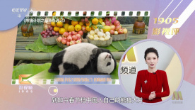 午夜在线视频